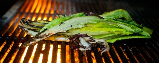 Papacelle’s Grilled Romaine Salad Papacelle’s Grilled Romaine Salad