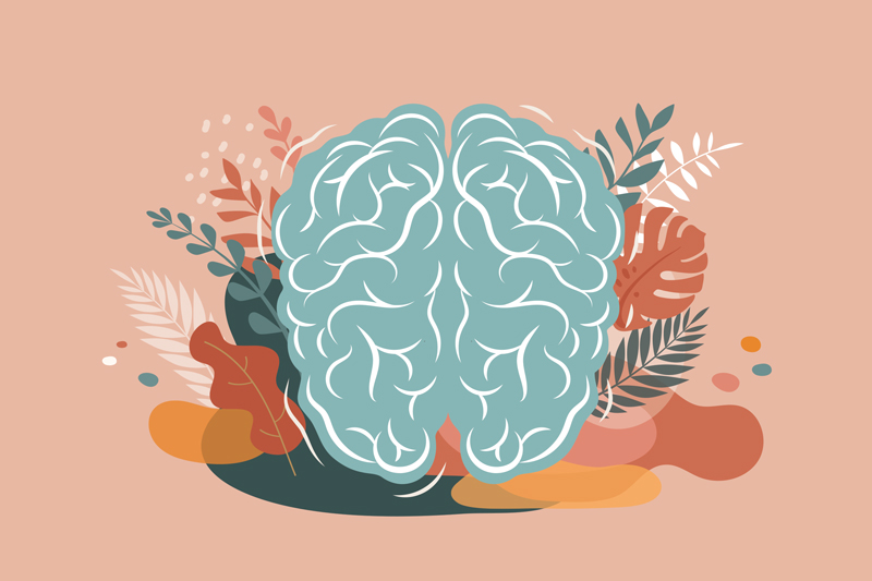 10 Steps to a Healthier and Youthful Brain